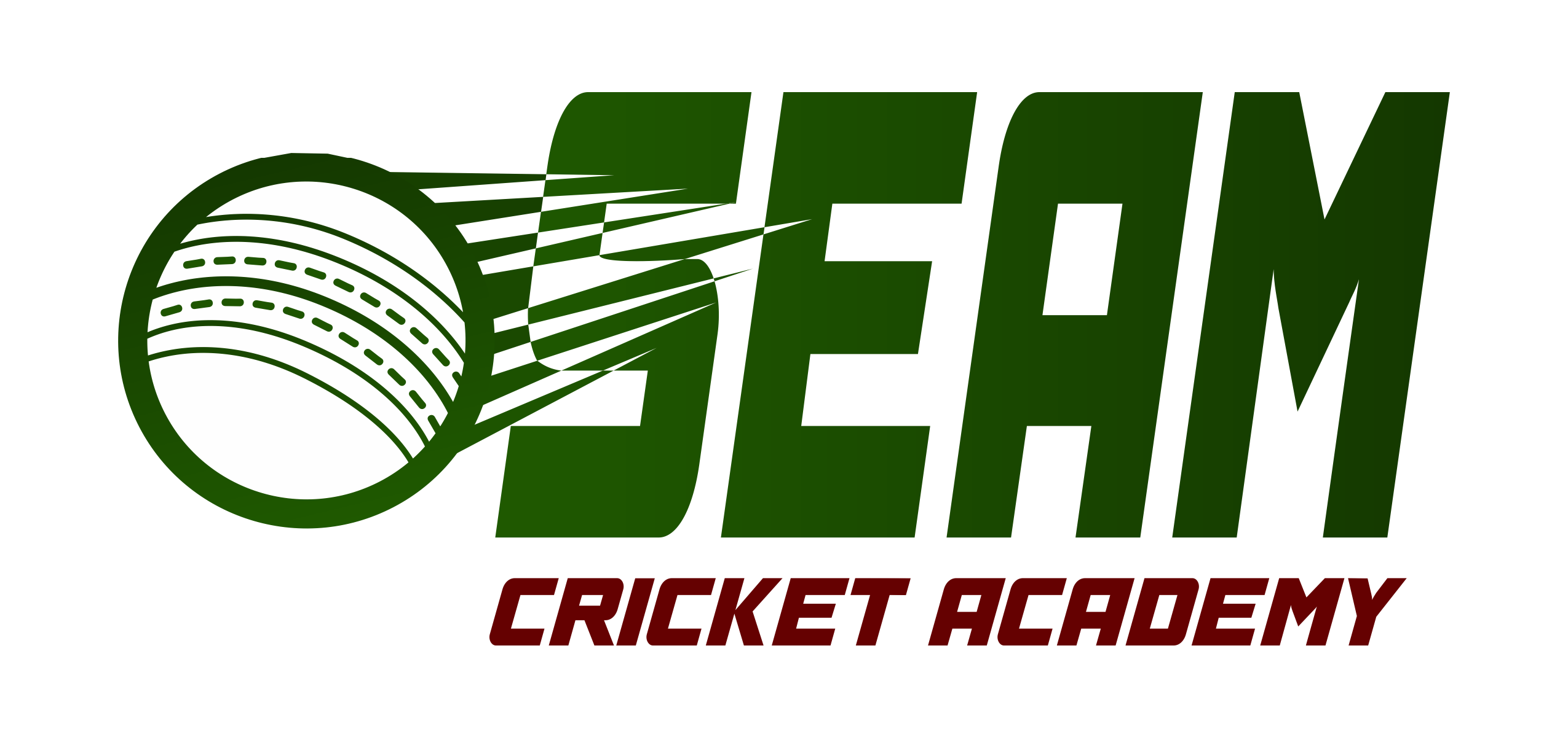 Seam Cricket Academy Logo